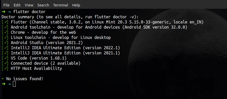 Flutter Ubuntu Install